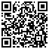 QR Code Handyversion