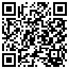 QR Code Handyversion