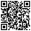 QR Code Handyversion