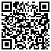 QR Code Handyversion