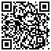 QR Code Handyversion