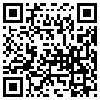 QR Code Handyversion