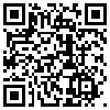 QR Code Handyversion