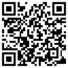 QR Code Handyversion