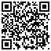 QR Code Handyversion