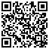 QR Code Handyversion