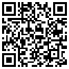 QR Code Handyversion