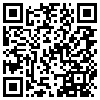 QR Code Handyversion