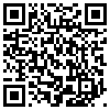 QR Code Handyversion