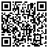 QR Code Handyversion