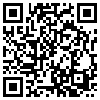 QR Code Handyversion