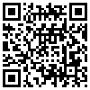 QR Code Handyversion