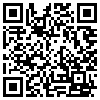 QR Code Handyversion