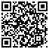 QR Code Handyversion