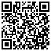 QR Code Handyversion