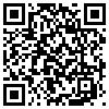 QR Code Handyversion