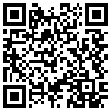 QR Code Handyversion