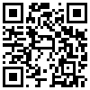 QR Code Handyversion