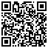 QR Code Handyversion