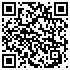 QR Code Handyversion