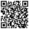 QR Code Handyversion