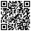 QR Code Handyversion