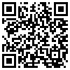 QR Code Handyversion