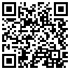 QR Code Handyversion