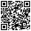 QR Code Handyversion