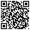 QR Code Handyversion