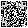 QR Code Handyversion