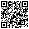 QR Code Handyversion