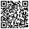 QR Code Handyversion