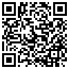 QR Code Handyversion