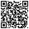 QR Code Handyversion