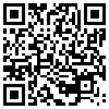 QR Code Handyversion