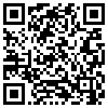 QR Code Handyversion