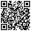 QR Code Handyversion