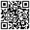 QR Code Handyversion