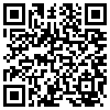 QR Code Handyversion