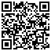 QR Code Handyversion