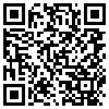 QR Code Handyversion