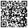 QR Code Handyversion