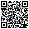 QR Code Handyversion