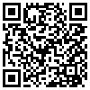 QR Code Handyversion