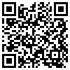 QR Code Handyversion