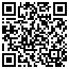 QR Code Handyversion