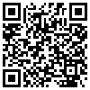 QR Code Handyversion