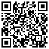 QR Code Handyversion