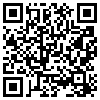 QR Code Handyversion